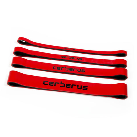 Image of CERBERUS Short Bands