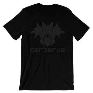 STEALTH T