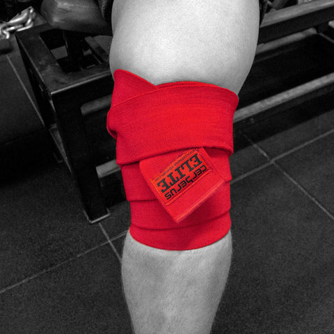 Image of ELITE Knee Wraps