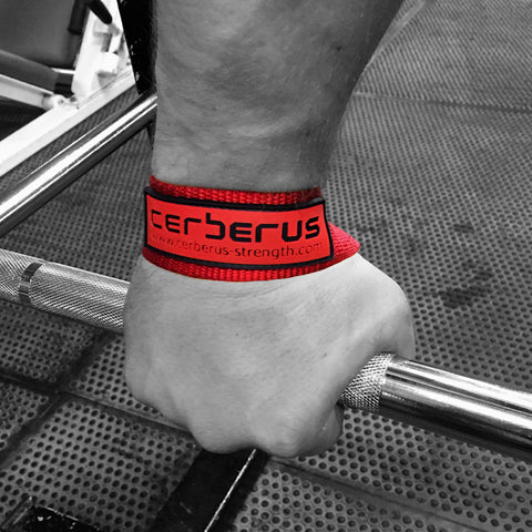 Image of Elite Lifting Straps